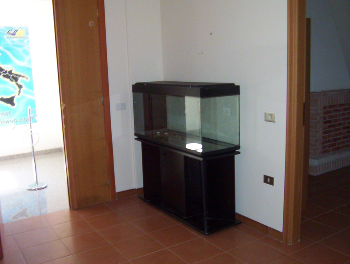 pianouno_11.jpg